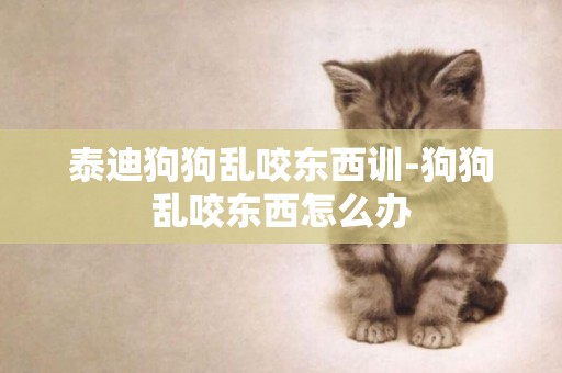 泰迪狗狗亂咬東西訓-狗狗亂咬東西怎么辦