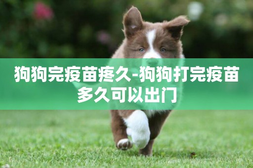 狗狗完疫苗疼久-狗狗打完疫苗多久可以出門