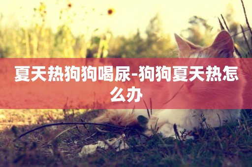 夏天熱狗狗喝尿-狗狗夏天熱怎么辦
