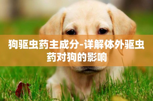 狗驅蟲藥主成分-詳解體外驅蟲藥對狗的影響