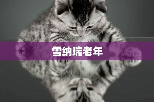 雪納瑞老年