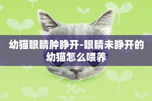 幼貓眼睛腫睜開-眼睛未睜開的幼貓怎么喂養