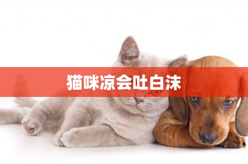 貓咪涼會吐白沫