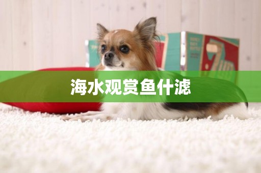 海水觀賞魚什濾