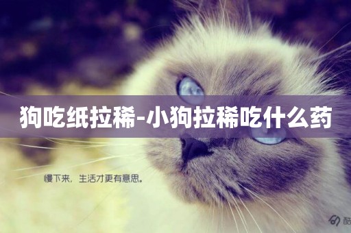 狗吃紙拉稀-小狗拉稀吃什么藥