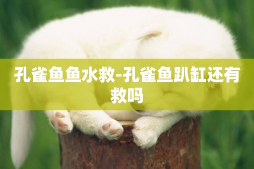 孔雀魚魚水救-孔雀魚趴缸還有救嗎