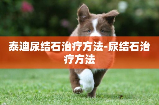 泰迪尿結石治療方法-尿結石治療方法