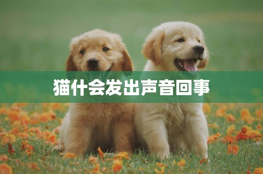 貓什會發出聲音回事