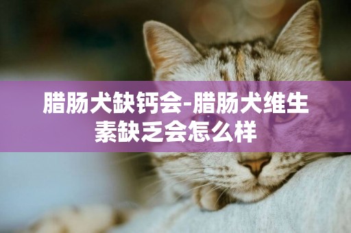 臘腸犬缺鈣會-臘腸犬維生素缺乏會怎么樣