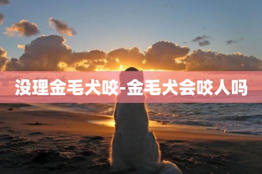 沒理金毛犬咬-金毛犬會咬人嗎