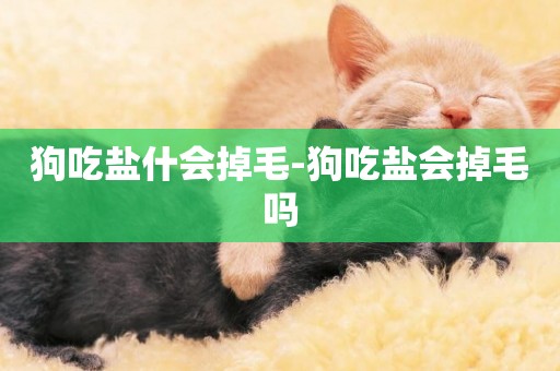 狗吃鹽什會掉毛-狗吃鹽會掉毛嗎
