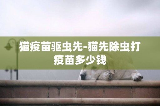 貓疫苗驅蟲先-貓先除蟲打疫苗多少錢