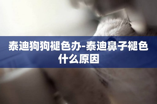 泰迪狗狗褪色辦-泰迪鼻子褪色什么原因