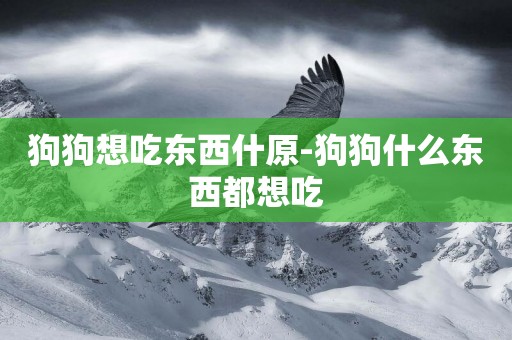狗狗想吃東西什原-狗狗什么東西都想吃