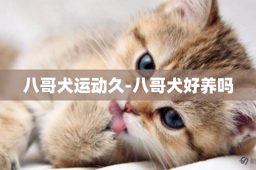 八哥犬運動久-八哥犬好養嗎