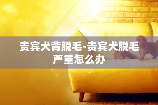 貴賓犬背脫毛-貴賓犬脫毛嚴重怎么辦