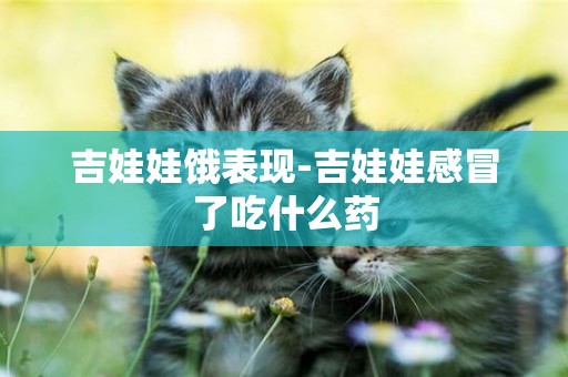 吉娃娃餓表現-吉娃娃感冒了吃什么藥