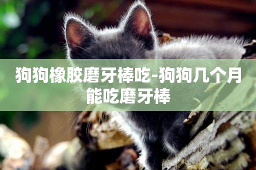 狗狗橡膠磨牙棒吃-狗狗幾個月能吃磨牙棒
