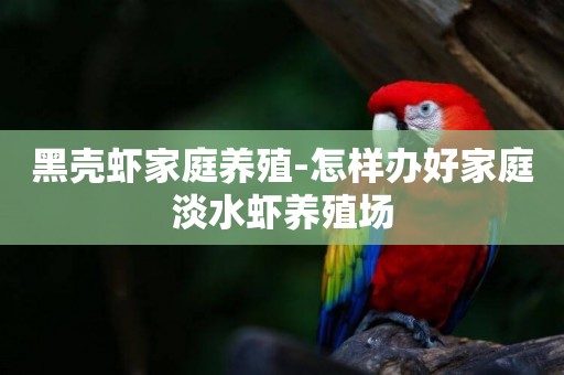 黑殼蝦家庭養殖-怎樣辦好家庭淡水蝦養殖場
