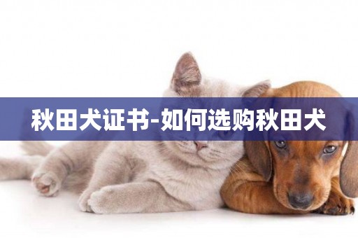 秋田犬證書-如何選購秋田犬