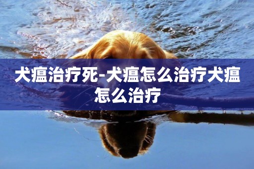 犬瘟治療死-犬瘟怎么治療犬瘟怎么治療