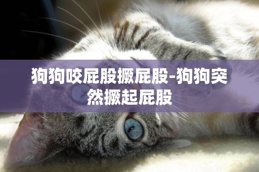 狗狗咬屁股撅屁股-狗狗突然撅起屁股