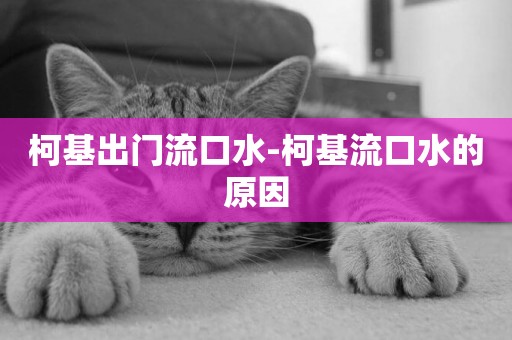 柯基出門流口水-柯基流口水的原因