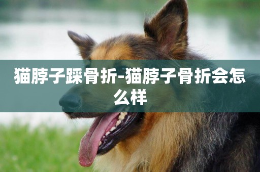 貓脖子踩骨折-貓脖子骨折會怎么樣