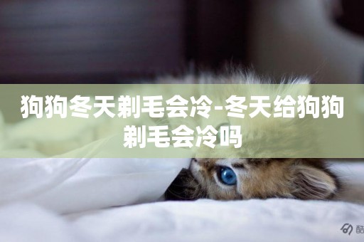 狗狗冬天剃毛會冷-冬天給狗狗剃毛會冷嗎