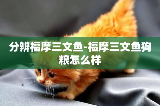 分辨福摩三文魚-福摩三文魚狗糧怎么樣