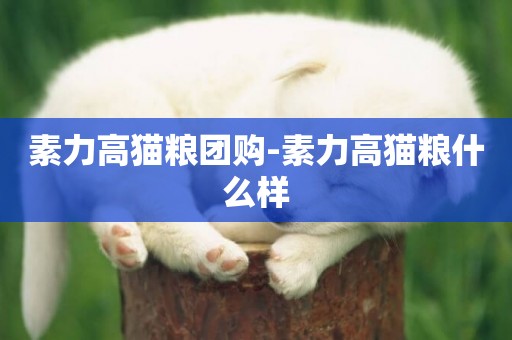 素力高貓糧團購-素力高貓糧什么樣