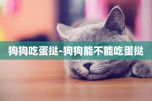 狗狗吃蛋撻-狗狗能不能吃蛋撻