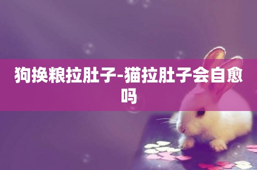 狗換糧拉肚子-貓拉肚子會自愈嗎