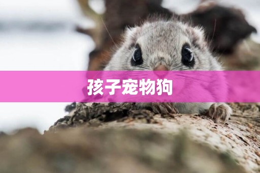孩子寵物狗