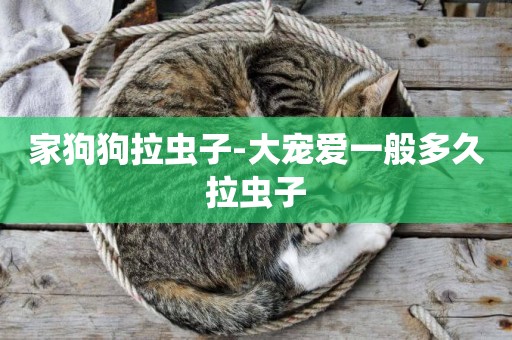 家狗狗拉蟲子-大寵愛一般多久拉蟲子