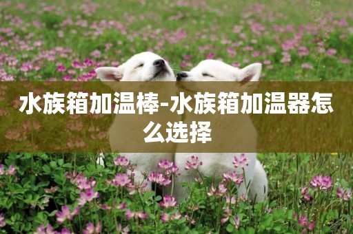 水族箱加溫棒-水族箱加溫器怎么選擇