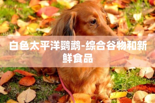 白色太平洋鸚鵡-綜合谷物和新鮮食品