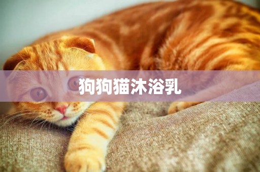 狗狗貓沐浴乳