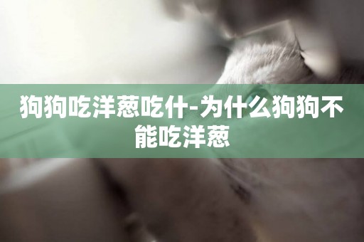 狗狗吃洋蔥吃什-為什么狗狗不能吃洋蔥