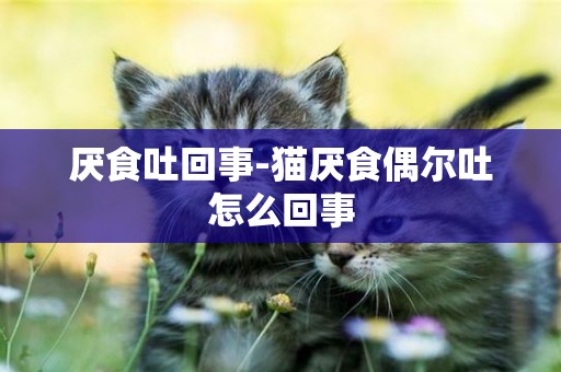 厭食吐回事-貓厭食偶爾吐怎么回事