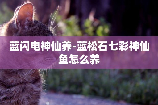 藍閃電神仙養-藍松石七彩神仙魚怎么養