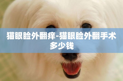 貓眼瞼外翻癢-貓眼瞼外翻手術多少錢