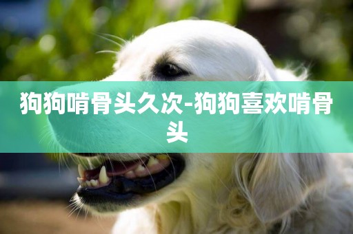 狗狗啃骨頭久次-狗狗喜歡啃骨頭
