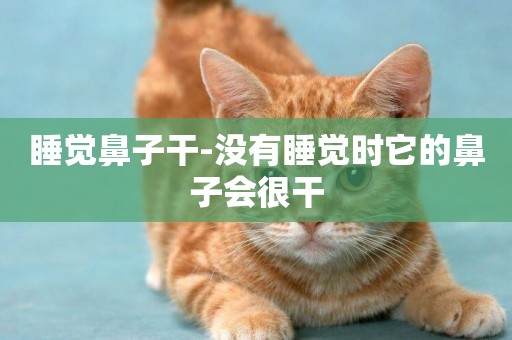 睡覺鼻子干-沒有睡覺時它的鼻子會很干