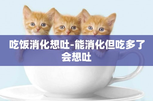 吃飯消化想吐-能消化但吃多了會想吐