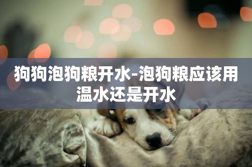 狗狗泡狗糧開水-泡狗糧應該用溫水還是開水