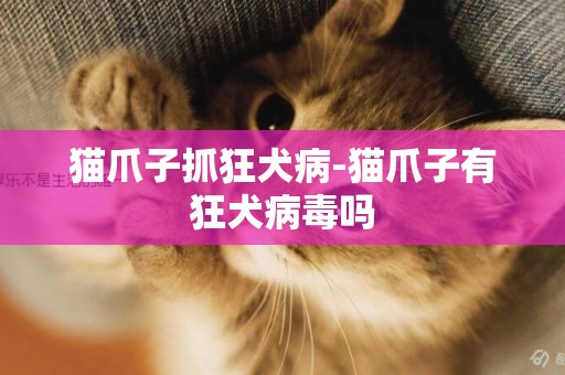 貓爪子抓狂犬病-貓爪子有狂犬病毒嗎