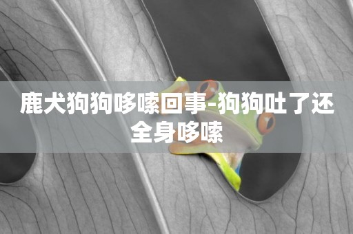 鹿犬狗狗哆嗦回事-狗狗吐了還全身哆嗦