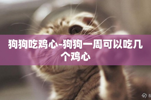 狗狗吃雞心-狗狗一周可以吃幾個雞心