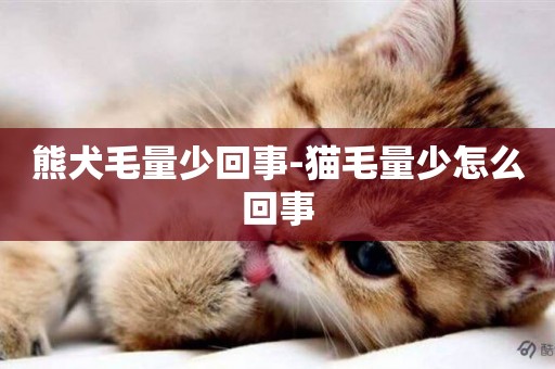 熊犬毛量少回事-貓毛量少怎么回事